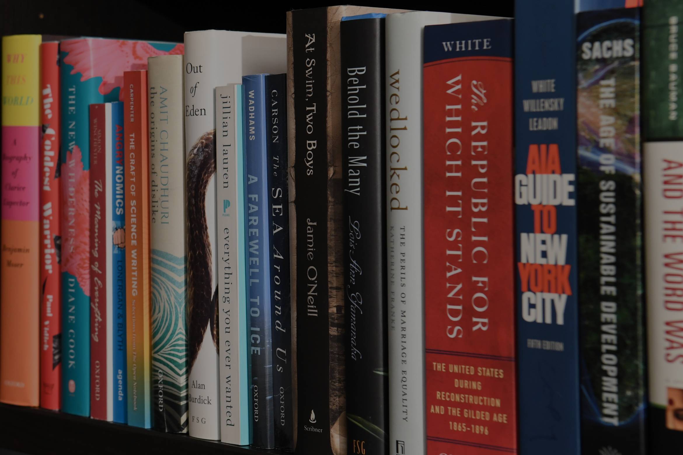 A colorful shelf of books