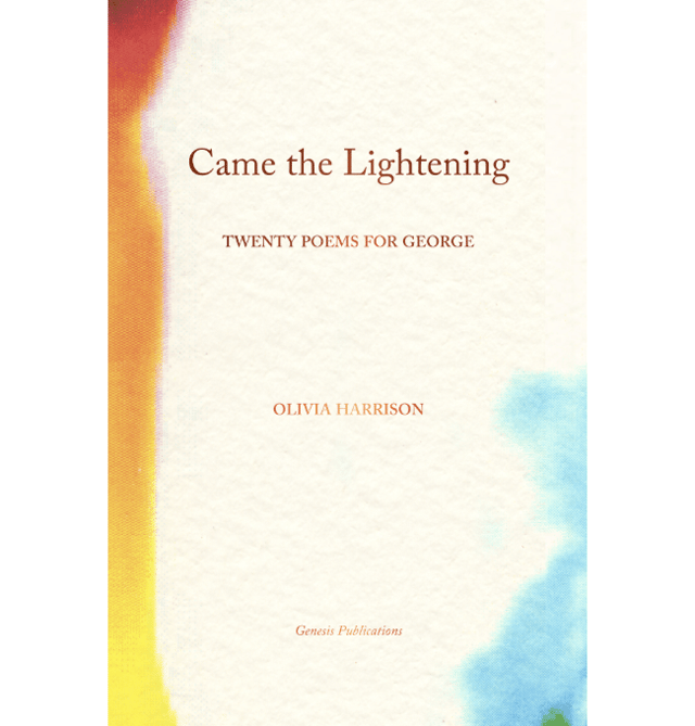 Jacket-Came-the-Lightening