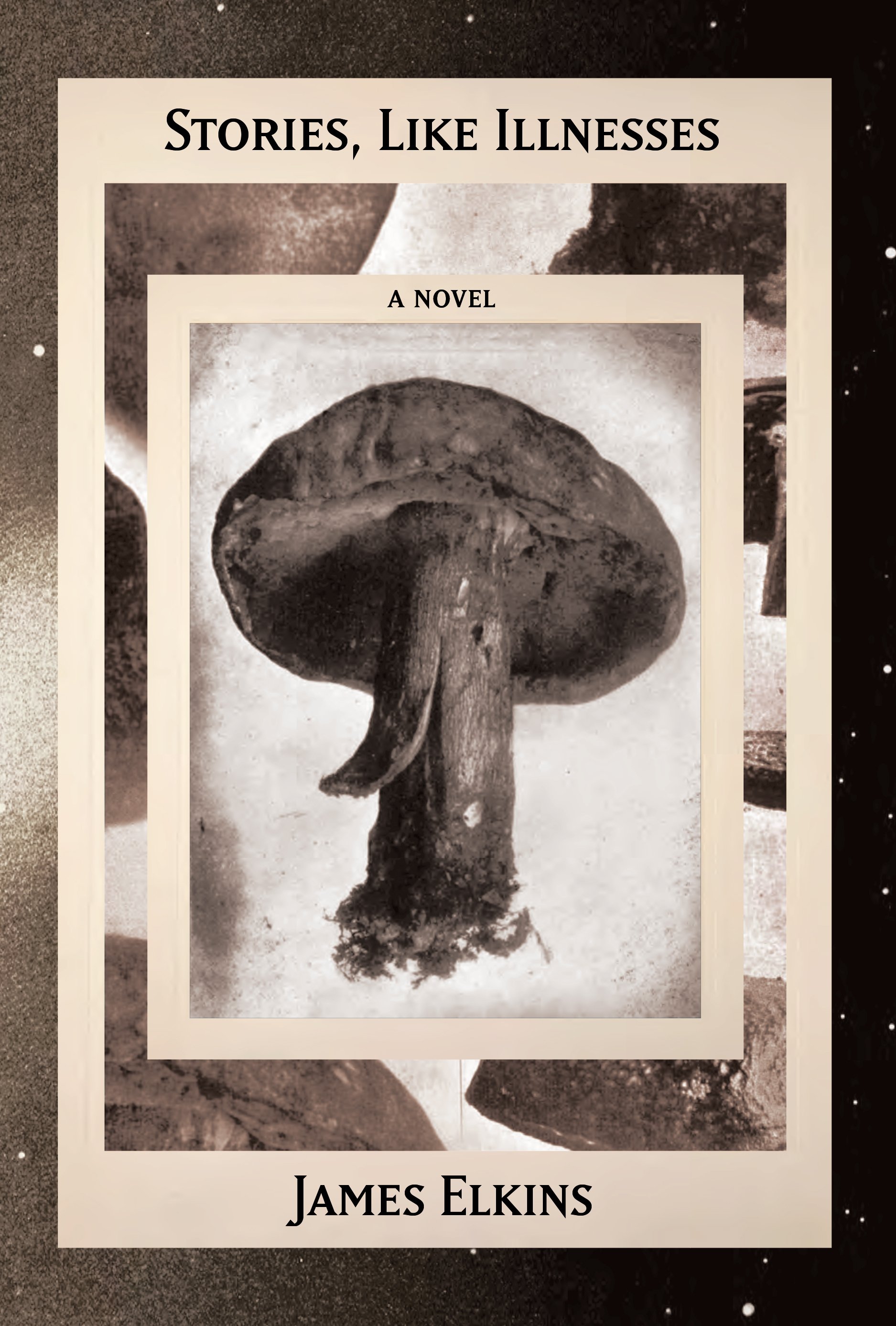 Stories LIke Illnesses by James Elkins (1)